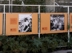 EXPOSICIÓN FOTOGRÁFICA